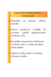 Doğal Kantaron Sabunu, Yenileyici, Rahatlatan Nemli Pürüzsüz ve Parlak Ciltler İçin Sabun 100GR