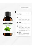 % 100 SAF ve doğal Nane Yağı, Uçucu Doğal Yağ 10 ML