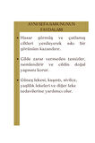 Doğal Aynı Sefa Sabunu, Ciltler İçin Destekleyici Yenileyici Sabun 100GR