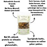 GRANOLA KAHVALTILIK GEVREK BOL KURU MEYVELİ KABAK ÇEKİRDEKLİ İNCİR ÜZÜM & ELMA KURUSU ŞEKERSİZ 240GR