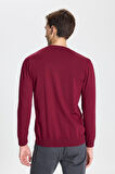 Altınyıldız Classics Bisiklet Yaka Standart Bordo Erkek Kazak 4A4924100001