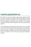 Ata Tohumu Sivri Biber Yalova Çarliston 100 Adet Tohum