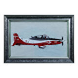 e38 EL İŞÇİLİĞİ EL NAKIŞI TABLO HÜRKUŞ 70x50 cm - 5990