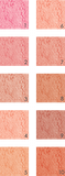 IMPALA Allık Koyu Somon Pembe - Blush on  No: 8