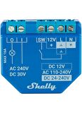 Shelly Plus 1