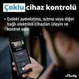 Shelly Plus Plug S Akıllı Priz