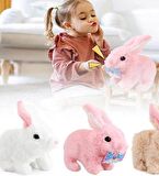 Yürüyen, Sesli Hareketli Sevimli Peluş Bunny Tavşan - Sweet Bunny