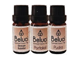 Orman Esintisi + Portakal + Pudra (Oda Kokusu Aroma Terapi Buhurdanlık/Difüzör Yağı) Set 3 Adet x 10 ml