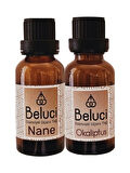 Nane + Okaliptus (Oda Kokusu Aroma Terapi Buhurdanlık/Difüzör Yağı) Set 2 Adet x 30 ml