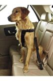 Siyah Kedi Köpek Araç Emniyet Kemeri Tasma Için Ayarlanabilir Araba Evcil Hayvan Oto Tasması