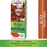 PALETTE KALICI DOĞAL RENKLER SAÇ BOYASI 8-77 TARÇIN BAKIR