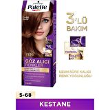 Palette Göz Alıcı Renkler 5-68 Kestane