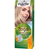Palette Kalıcı Doğal Renkler 12-1 Küllü Buzul Sarısı