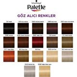 Palette Göz Alıcı Renkler 1-0 Siyah