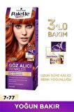 Palette Göz Alıcı Renkler 7-77 Yoğun Bakır