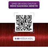 Palette Göz Alıcı Renkler 6/88 Yoğun Kızılı