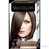 FinDit Sea Color Set Boya 4.0 Kahve