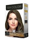 FinDit Sea Color Set Boya 8.11 Yoğ.A.Küllü Kumral