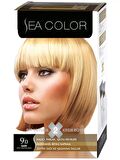 FinDit Sea Color Set Boya 9.0 Sarı