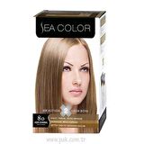 FinDit Sea Color Set Boya 8.0 Açık Karamel
