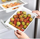 Findit 12+2 Adet 15 Li Yumurta Yiyecek Organizer Kutu (Findit)