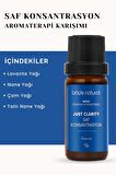 Bade Natural Saf Konsantrasyon Aromaterapi Karışımı 10 ml