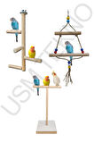 Kuş Tüneği Ahşap Tünek T Tünek Kuş Salıncağı 3 Lü Set Kuş Aksesuarı