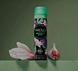 YARDLEY LONDON - BODY FRAGRANCE -DEODORANT