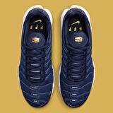 Nike Air Max Plus FIFA World Cup Qatar 2022 Erkek Spor Ayakkabı