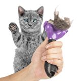 Uzun Tüylü Kedi Tarağı 4.5 KG Kadar (3984)
