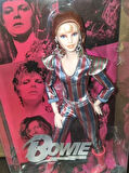 Escoines Koleksiyon David Bowie Collector Doll, 11.5-inch, in Ziggy - 3996366d4bb607eaf0