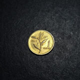 Escoines Koleksiyon 3996367e36d01f0d00 ÇİL 1Kuruş 1962 eski madeni para