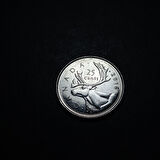 Escoines Koleksiyon 3996367fb93ae79dbd 2016 Kanada 25 Cent ÇİL Eski Yabancı Madeni Para