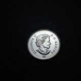 Escoines Koleksiyon 3996367fb93ae79dbd 2016 Kanada 25 Cent ÇİL Eski Yabancı Madeni Para