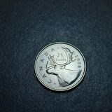Escoines Koleksiyon 3996367fb95d54eba6 2008 Kanada 25Cent ÇİL Eski Madeni Para