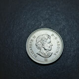 Escoines Koleksiyon 3996367fb95d54eba6 2008 Kanada 25Cent ÇİL Eski Madeni Para