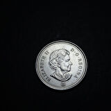 Escoines Koleksiyon 3996367fb95d54eba6 2008 Kanada 25Cent ÇİL Eski Madeni Para