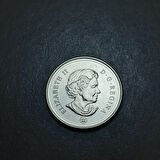 Escoines Koleksiyon 3996367fb977ab75f2 2012 Kanada 25Cent ÇİL Eski Yabancı Para