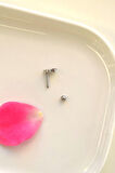 C Harfi Piercing Gümüş Renkli Harf Piercing C