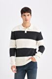 DeFacto Standart Fit Polo Yaka Çizgili Triko Kazak D3590AX24WNER139