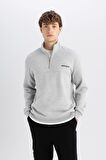 DeFacto Relax Fit Dik Yaka Baskılı Fermuarlı Kalın Kumaş Sweatshirt D2165AX24AUGR93