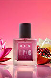 220 - EUPHORIA - EUPHOR 50mL Kadın Parfüm