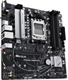 Asus Prime A620M-A-CSM AMD AM5 DDR5 Micro ATX Anakart Teşhir