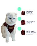 Kedi Göğüs Tasması Kedi Gezdirme Tasması Kediler Için Özel Üretim Yeni Nesil (TASMA DAHİL)