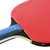 Butterfly Boll Gold ITTF Onaylı Masa Tenisi Raketi - 85021S