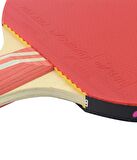 Butterfly Maze Gold ITTF Onaylı Masa Tenisi Raketi - 85062