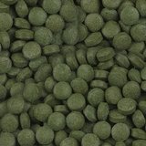 Sera Plankton Color Tabs Açık 250Ad