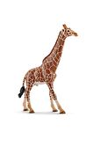 Schleich Erkek Zürafa Figür