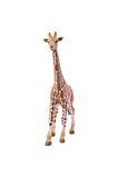 Schleich Erkek Zürafa Figür