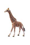 Schleich Erkek Zürafa Figür